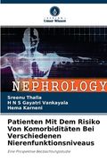 Patienten Mit Dem Risiko Von Komorbiditäten Bei Verschiedenen Nierenfunktionsniveaus (in German)