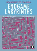 Endgame Labyrinths (en Inglés)