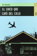 el chico que cayó del cielo