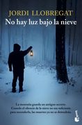 No hay luz Bajo la Nieve