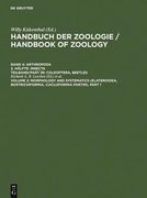 Morphology and Systematics (Elateroidea, Bostrichiformia, Cucujiformia Partim) (en Inglés)