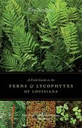 A Field Guide to the Ferns & Lycophytes of Louisiana: Including East Texas, Southern Arkansas, and Mississippi (en Inglés)