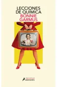 LECCIONES DE QUIMICA (in Spanish)
