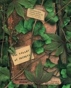 the valley of secrets (en Inglés)
