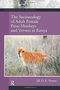 the socioecology of adult female patas monkeys and vervets in kenya