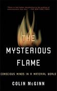 the mysterious flame,conscious minds in a material world