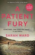 A Patient Fury (DC Childs mystery) (en Inglés)