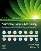 Sustainable Natural gas Drilling: Technologies and Case Studies for the Energy Transition (The Fundamentals and Sustainable Advances in Natural gas Science and Eng) (en Inglés)
