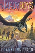 As the Falcon Flies (en Inglés)
