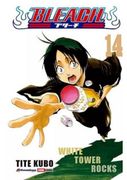 Bleach #14