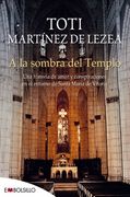 A la sombra del templo: Una historia de amor y conspiraciones en el entorno de Santa María de Vitoria (EMBOLSILLO)