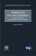 Derecho de Sucesiones Teórico Práctico Aprendizaje a Través de Casos Actualizado