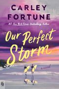 Our Perfect Storm (en Inglés)