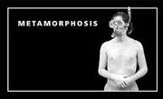 Metamorphosis: Flip Book (en Inglés)