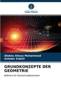 Grundkonzepte Der Geometrie (en Alemán)