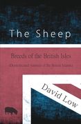 The Sheep - Breeds of the British Isles (Domesticated Animals of the British Islands) (en Inglés)
