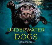 underwater dogs