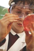 Como Hacer Una Tesis En Bachillerato: Bachillerato y Universidad