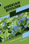 Siberian Bugloss: Shade plant Beginner's Guide (en Inglés)