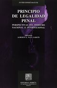 principio de legalidad penal. perspectivas del derecho nacional e internacional / 2 ed.