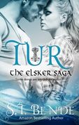 Tur: The Elsker Saga (Volume 1)