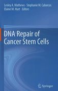dna repair of cancer stem cells