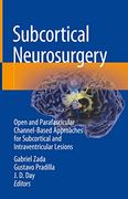 Subcortical Neurosurgery: Open and Parafascicular Channel-Based Approaches for Subcortical and Intraventricular Lesions (en Inglés)