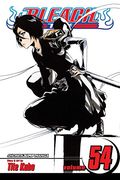 bleach, volume 54