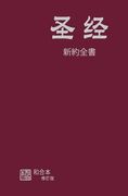 Chinese Simplified New Testament 