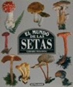 mundo de las setas