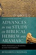 Advances in the Study of Biblical Hebrew and Aramaic: New Insights for Reading the old Testament (en Inglés)