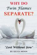 Why Do Twin Flames Separate?: Lost Without You (en Inglés)