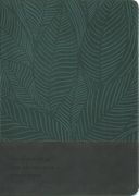 Nlt Chronological Life Application Study Bible, Second Edition (Leatherlike, Palm Forest Teal) 