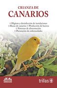 Crianza de Canarios