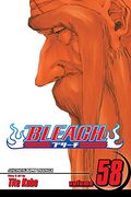 Bleach, Vol. 58 (en Inglés)