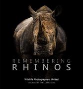 Remembering Rhinos (en Inglés)
