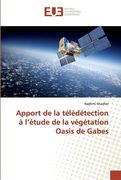 Apport de la télédétection à l'étude de la végétation Oasis de Gabes (en Francés)
