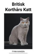 Britisk Korthårs Katt (en Noruego)