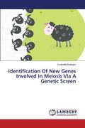 Identification of New Genes Involved in Meiosis Via a Genetic Screen