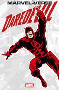 Daredevil (Marvel-Verse)