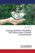 Energy Systems Flexibility for Future Non-Carbon Environment (en Inglés)