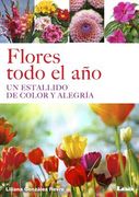 Flores Todo El Año: Un Estallido de Color Y Alegría