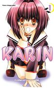 karin # 01