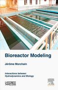 Bioreactor Modeling: Interactions Between Hydrodynamics and Biology (en Inglés)