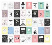 40 Baby Meilenstein-Karten für das 1. Lebensjahr für Mädchen und Junge. Baby Milestone Cards Deutsch, zur Erinnerung der Entwicklung der Ersten Monate. Geschenk-Set Inkl. Box zur Aufbewahrung. Geschenkidee zur Geburt, Schwangerschaft, Taufe Oder Baby Show (en Alemán)