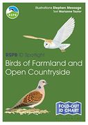 Rspb id Spotlight - Birds of Farmland and Open Countryside 