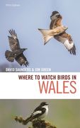 Where to Watch Birds in Wales (en Inglés)