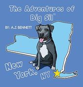 The Adventures of Big Sil New York, NY: Children's Book