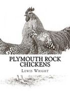 Plymouth Rock Chickens: From The Book of Poultry (en Inglés)