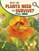 What do Plants Need to Survive? (Science Inquiry) (en Inglés)
